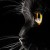 alesh_a