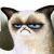 dimok