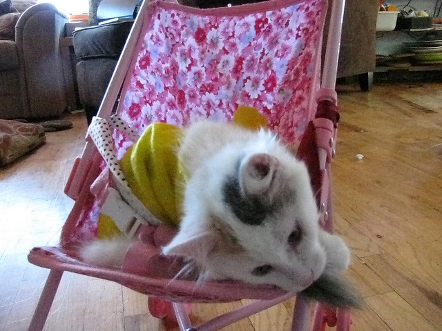 ></p>
<p> </p>
<p style=