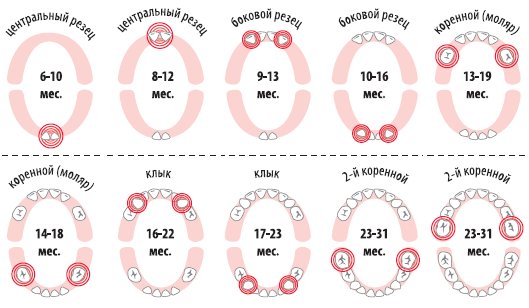 ></p>
<p><span style=