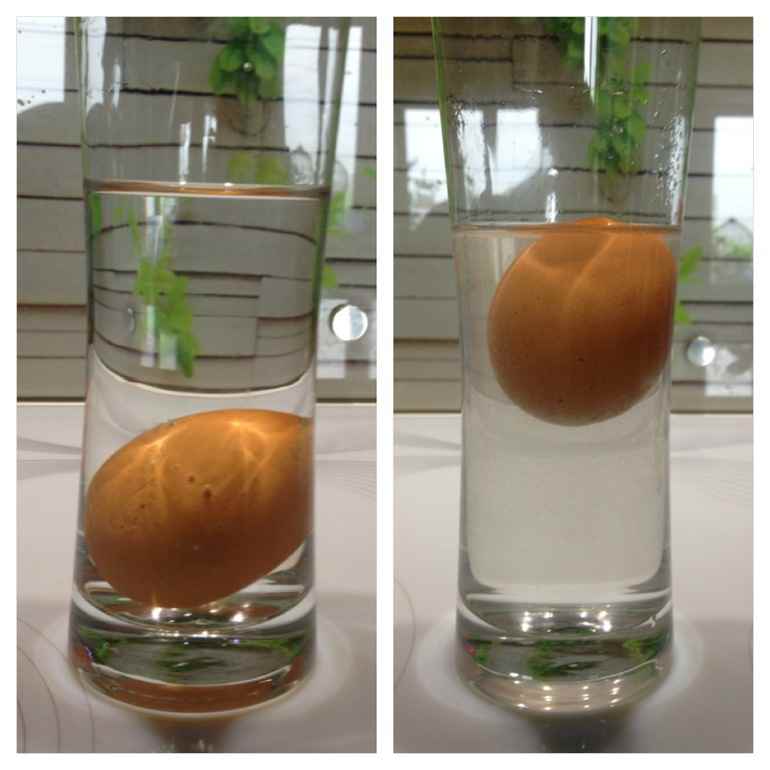 Папины будни: Опыты и эксперименты для детей «не выходя из дома»