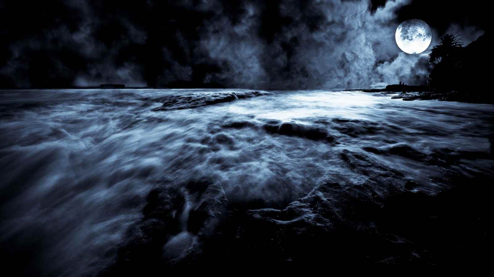 Жизнь во тьме