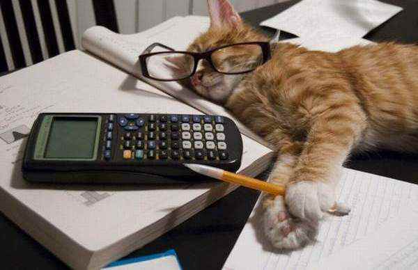 Отчет Невесомости