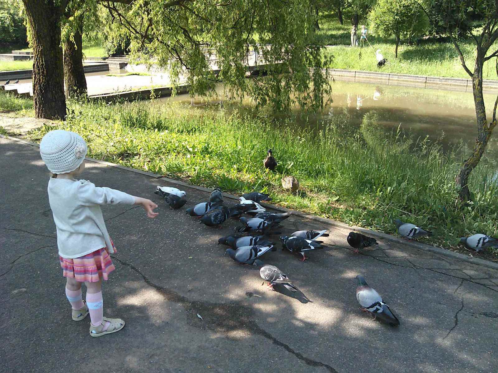 Объявляем победителей конкурса 