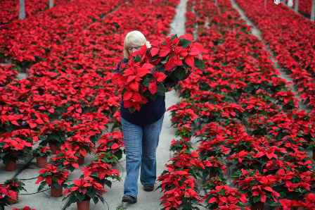 Праздник к нам приходит