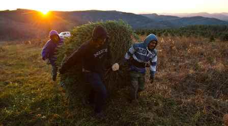 Праздник к нам приходит