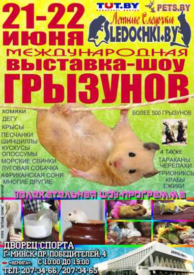 Выставка - шоу грызунов 