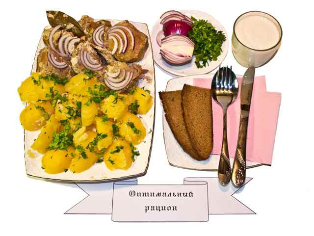 Оптимальный рацион