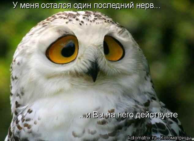 Почему нет детей