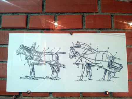 Куда пойти с ребенком? В музей Янки Купалы