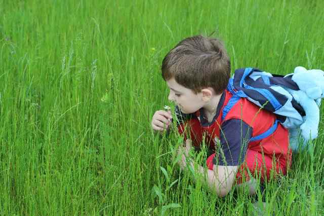 Божья коровка, лети на небко...