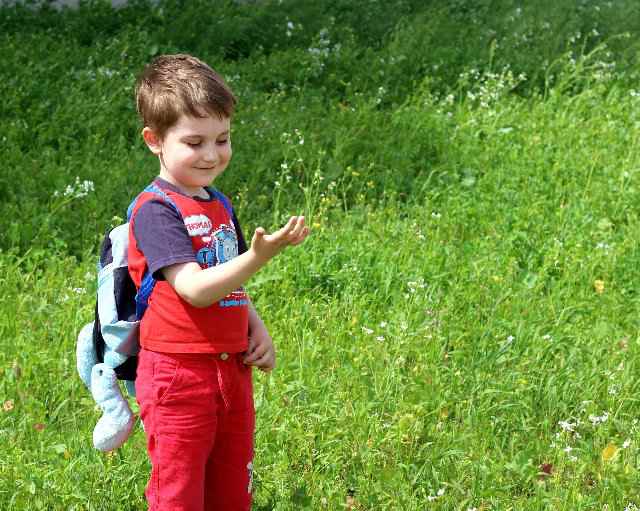 Божья коровка, лети на небко...
