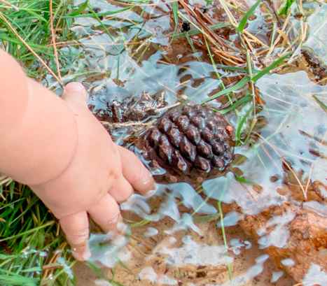Детские игры в саду