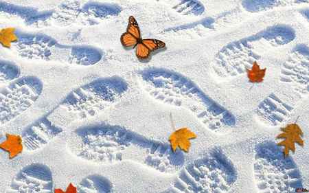 следы на снегу