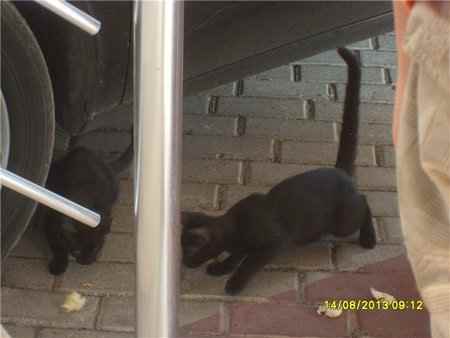 Бархатный сезон