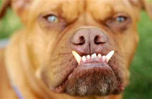 Комплекс «спасителя вселенной», или И надо же быть такой дурой?!