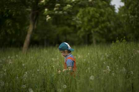 Как я провел лето в деревне