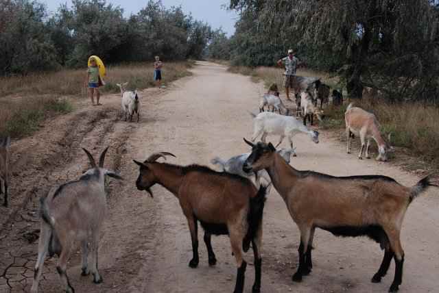 Бархатный сезон