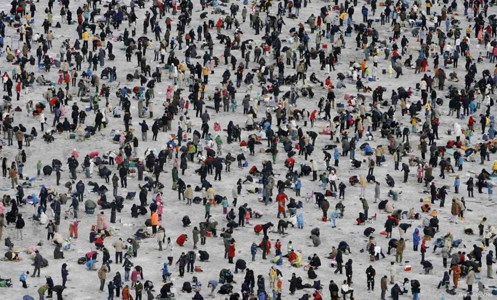 «Черный» против «бежевого» или почему нас заставляют покупать черное