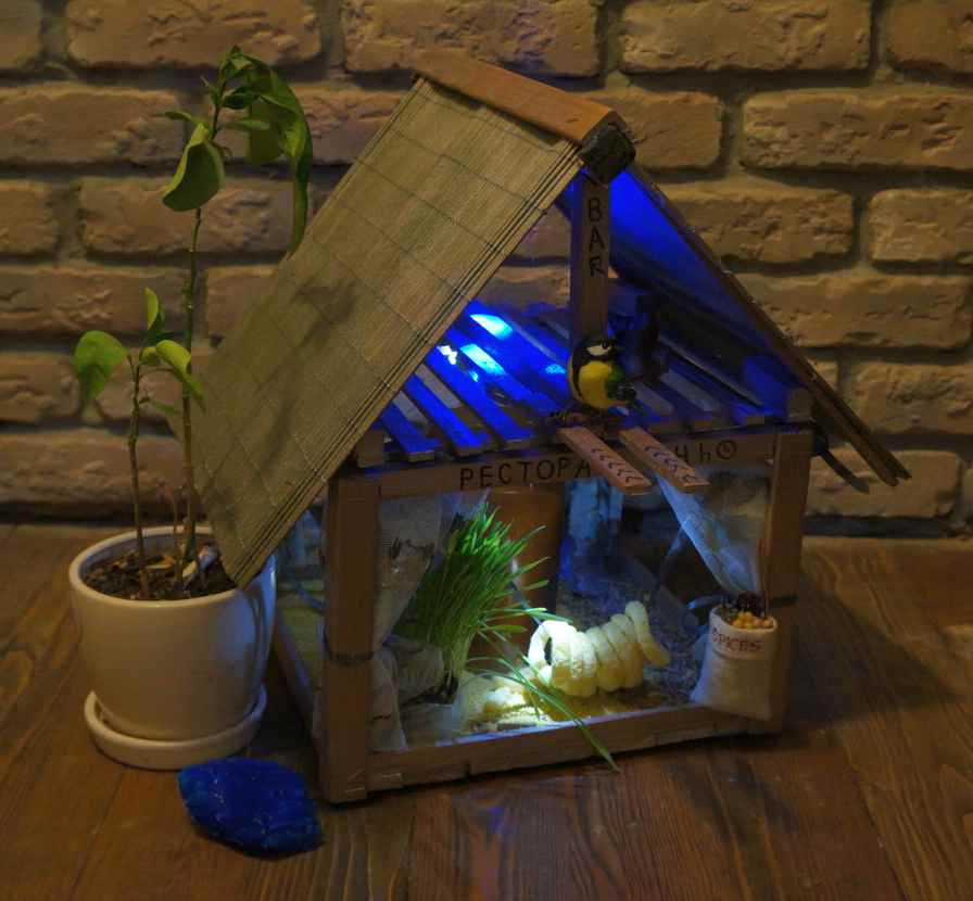 Кролики, деревья и кормушки – нескучные забавы для детей