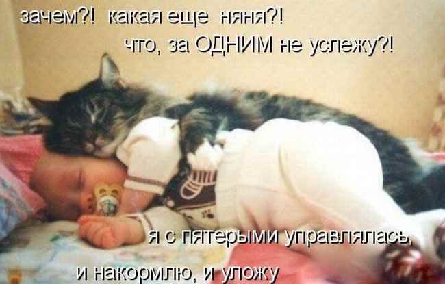Кот