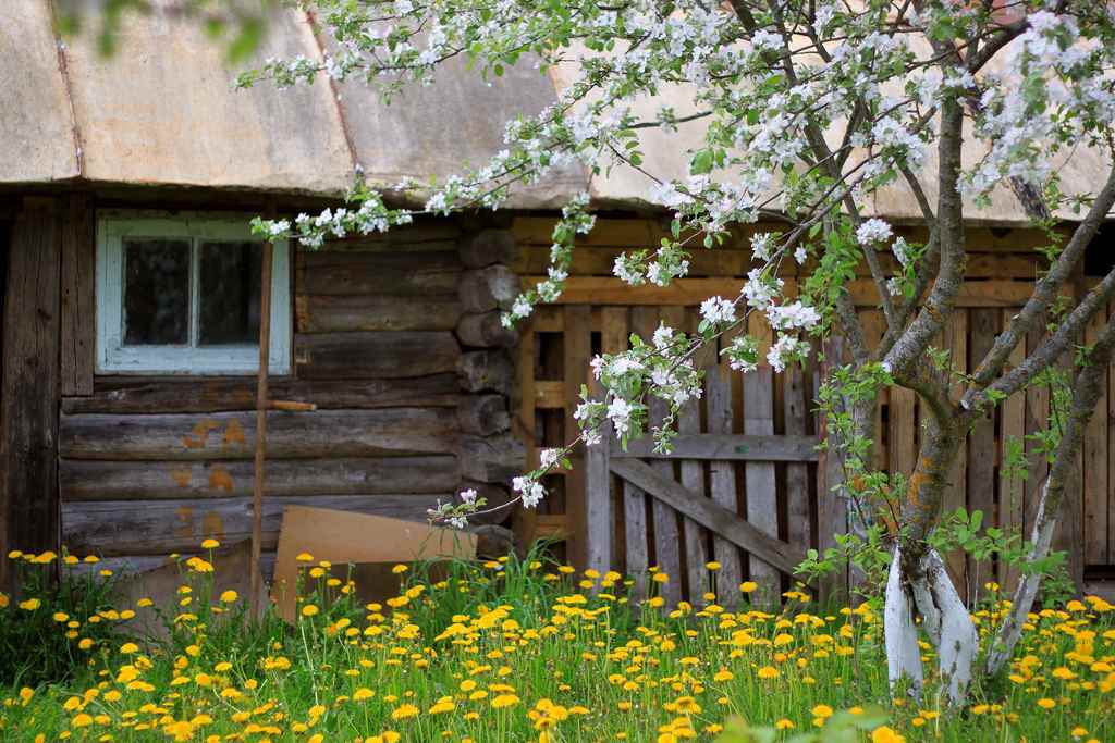 slavyanskaya-kultura.ru