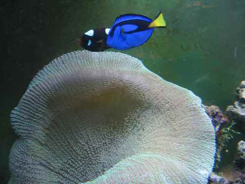 центр океанографии