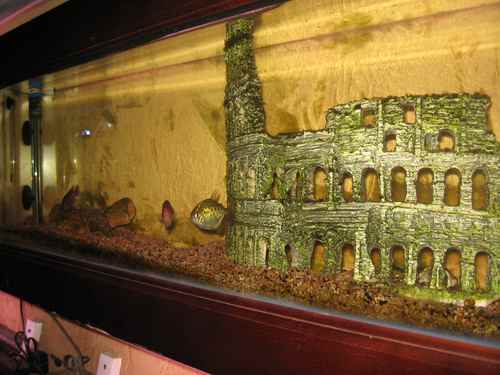 центр океанографии