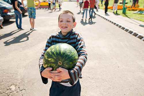 арбузный дождь