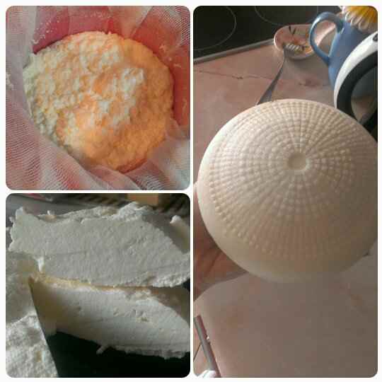 В своей тарелке: лазанья и домашний сыр