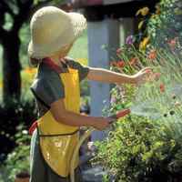 отдых на даче