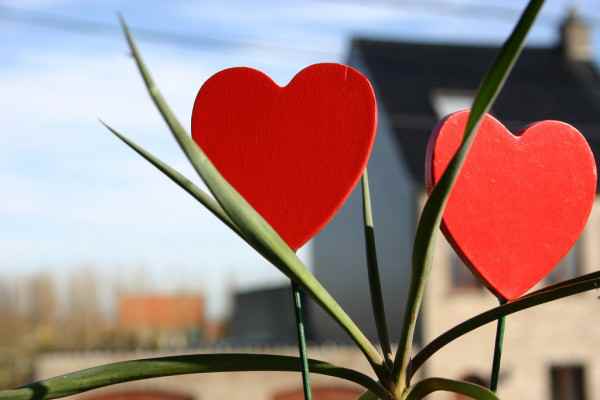 Лучший День святого Валентина