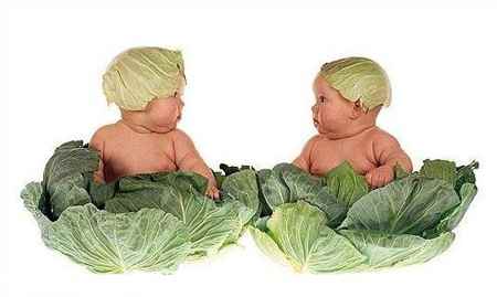 Взять из приюта двойняшек