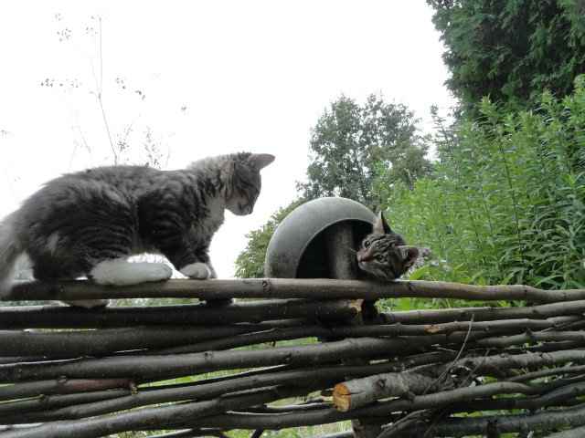 Маленький хуторок вдали от людей, или Как мы отдохнули в Браславе