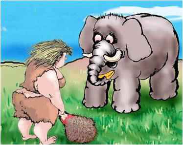 Ни яйцо и не курица. Потому что первым был ... петух!