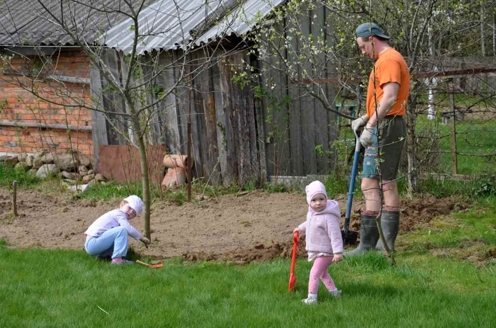 Ничего лишнего