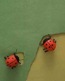 Мастерим из скорлупы