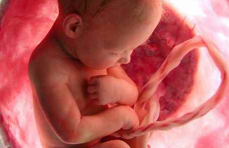 Календарь беременности. тридцатая неделя беременности. 30 неделя беременности