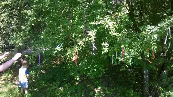 Наши дети НеВЕСомость-3