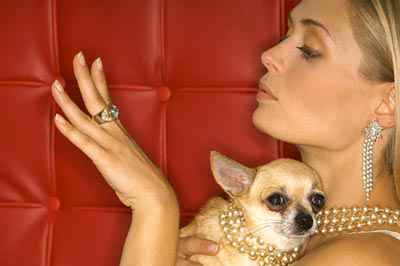 Совместные покупки